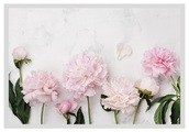 queence Bild »Bella«, Blumen, gerahmt, Rosen