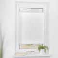 LICHTBLICK, LICHTBLICK Plissee »Plissee Klemmfix, ohne Bohren, verspannt, Ausbrenner«, In moderner Crushed Optik. Einfache Montage des Plissee am Fenster mit vier Klemmträgern - ohne pendeln. In vielen Farben und auch für Türen.
