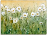 Artland Wandbild »Gänseblümchenfrühling II«