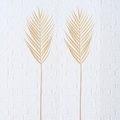 andas Trockenblume »Ragunda«, (Set, 2 St.), Palme, 2er Set