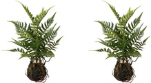 Creativ green Künstliche Zimmerpflanze »Farn im Ballen«, (2 St.)