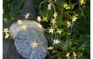 Sirius, Sirius LED-Weihnachtslichterkette Trille