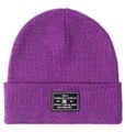 DC Shoes Beanie »Label«