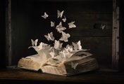 Papermoon Fototapete »Photo-Art HEATHER BONADIO, LEPIDOPTEROLOGIE«, Vliestapete, hochwertiger Digitaldruck, inklusive Kleister