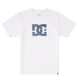 DC Shoes T-Shirt »DC Star Fill«