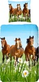 Good Morning Renforcé Bettwäsche Horses