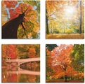 Artland Leinwandbild »Herbst Wald Panoramas«