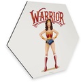 Wall-Art Metallbild »Pop Art Wonderwoman Fanartikel«