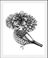 queence Bild »Floria«, Abstrakt, (1 St.), gerahmt
