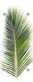 QUEENCE Handtuchhalter »Palme«, Wandgarderobe mit 6 Haken, 50 x 125 cm