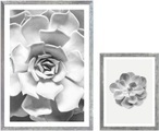 Komar Bild mit Rahmen »Succulent Aeonium«, (2 St.), Hochwertigen Echtholzrahmen. FSC zertifiziert, was eine nachhaltige Forstwirtschaft garantiert.