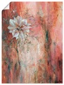 Artland Wandbild »Schwarzkümmel I«