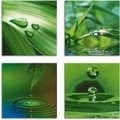 Artland Leinwandbild »Blatt Gras Wassertropfen«