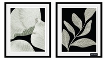 Bruno Banani Bild mit Rahmen »Eukalyptus - Gerahmter Digitaldruck - Wandbild«, (2er-Set), 2x 30x40 cm - Holzrahmen - Dekoration - Weisser Rahmen