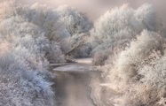 Papermoon Fototapete »Photo-Art SEBESTYEN BELA, WINTERLIED«, Vliestapete, hochwertiger Digitaldruck, inklusive Kleister