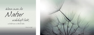 undefined, Leinwandbild »Natur« (Set)