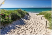 Artland Wandbild »Weg zum Strand an der Ostsee«, Strandbilder, (1 St.), in vielen Grössen & Produktarten - Alubild / Outdoorbild für den Aussenbereich, Leinwandbild, Poster, Wandaufkleber / Wandtattoo auch für Badezimmer geeignet