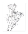 queence Bild »Dana«, Blumen, gerahmt, Blumen