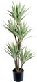 Creativ green Künstliche Zimmerpflanze »Dracaena draco«, (1 St.), im Topf