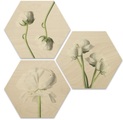 Wall-Art Mehrteilige Bilder »Maiglöckchen Blumen Collage« (Set)