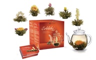 Creano Teekanne 0.5 l Transparent, Farbe