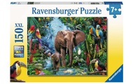 Dschungelelefanten