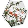 Wall-Art Metallbild »Quittenblüte Blumen Wandbild«
