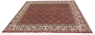 morgenland Wollteppich »Bidjar Teppich handgeknüpft rot«, quadratisch, 15 mm Höhe