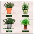 Artland Küchenrückwand »Lavendel Salbei Thymian Rosmarin Kräuter«