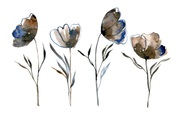 queence Leinwandbild »Blumen«
