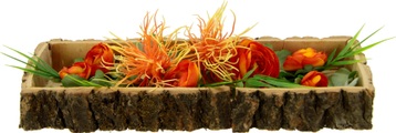 Home affaire Holztablett, Spinnenprotea