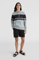 O'Neill Shorts »BOARDWALK SHORTS«