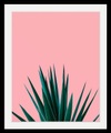 Bild »Pflanze«