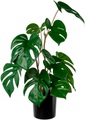 Creativ green Künstliche Zimmerpflanze »Dracaena draco«, (1 St.), im Topf