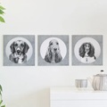 smartphoto, Quadratische Fotokacheln - Wandcollage auf Forex - 3 Stk.