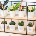 smartphoto, Blumentopf mit Fotoaufkleber (12er Set)