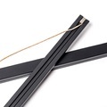 Posterleiste magnetisch 60 cm Schwarz