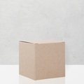 Partybox beige (24er Set)