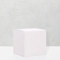 Partybox weiss (24er Set)