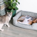 Tierbett personalisiert (65x55cm, Kissenbezug einseitig bedruckt, für Hunde & Katzen)