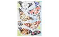 HobbyFun Stickers Butterfly I Aufkleber für Kinder