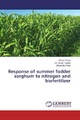 undefined, Response of summer fodder sorghum to nitrogen and biofertilizer