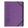 Pagna 40058-10 folder A4 Aubergine
