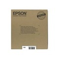 Epson Pen and crossword Multipack 4-colour 16 EasyMail