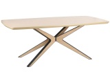 undefined, Tisch WOODY 200x100x75.5cm holz