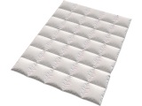 Duvet «Plumes» 200 x 210 cm, 1400 g