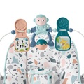 Fisher Price, Fisher-Price® Basis Babywippe