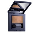 Estée Lauder Brash Bronze Pure Color Envy Eyeshadow Single Lidschatten 1.8 g