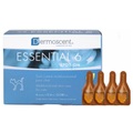 V.M.D., V.M.D. Dermoscent® Essential 6® Spot-On Katze