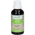 HerbalGem Walnuss Bio